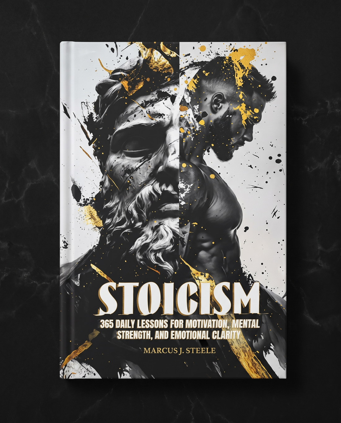 Stoicism — 365 Daily Lessons for Motivation, Mental Strength & Emotional Clarity™ view 1