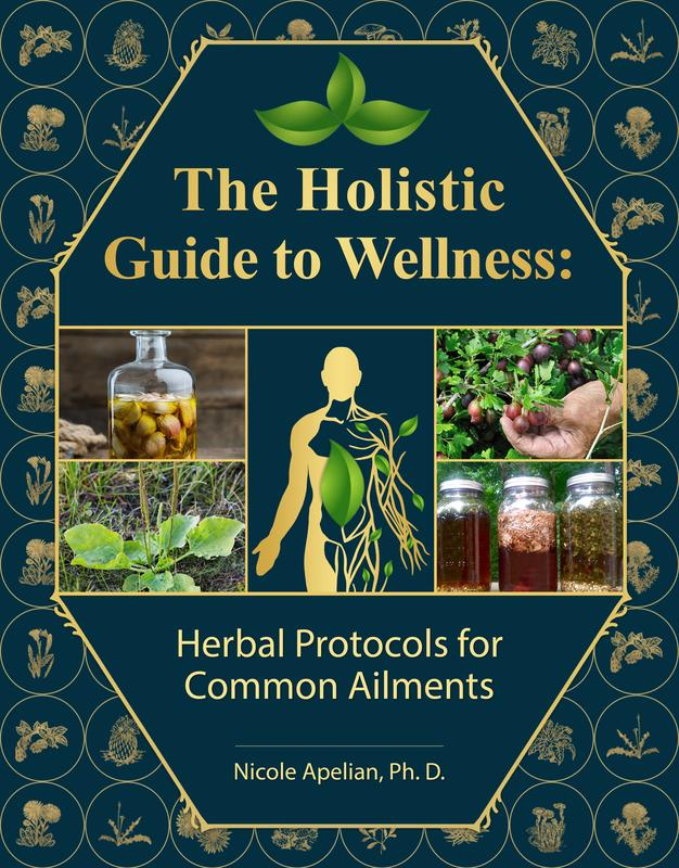 The Holistic Guide to Wellness: Herbal Protocols for Common Ailments