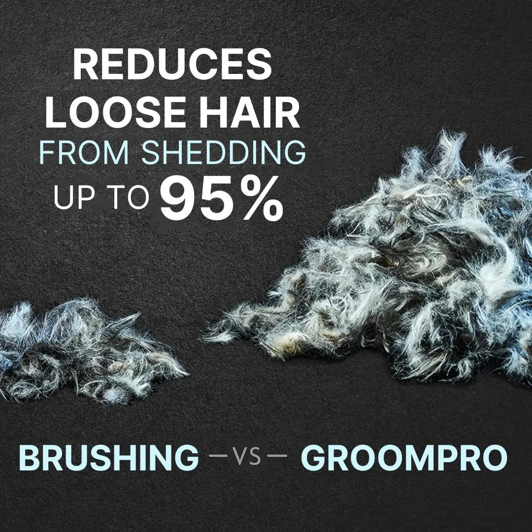 Brushing vs GroomPro