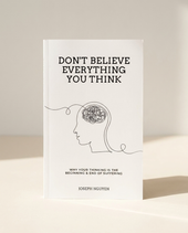 Don't Believe Everything You Think view 1