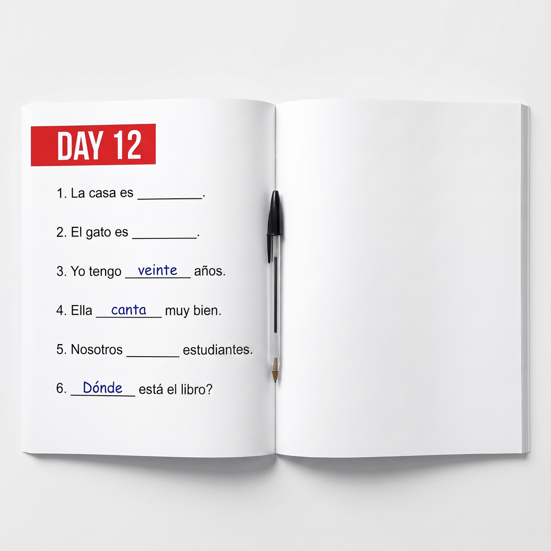 Spanish in 60 Days: The Language Learning Workbook With Common Slang Words & Phrases view 4